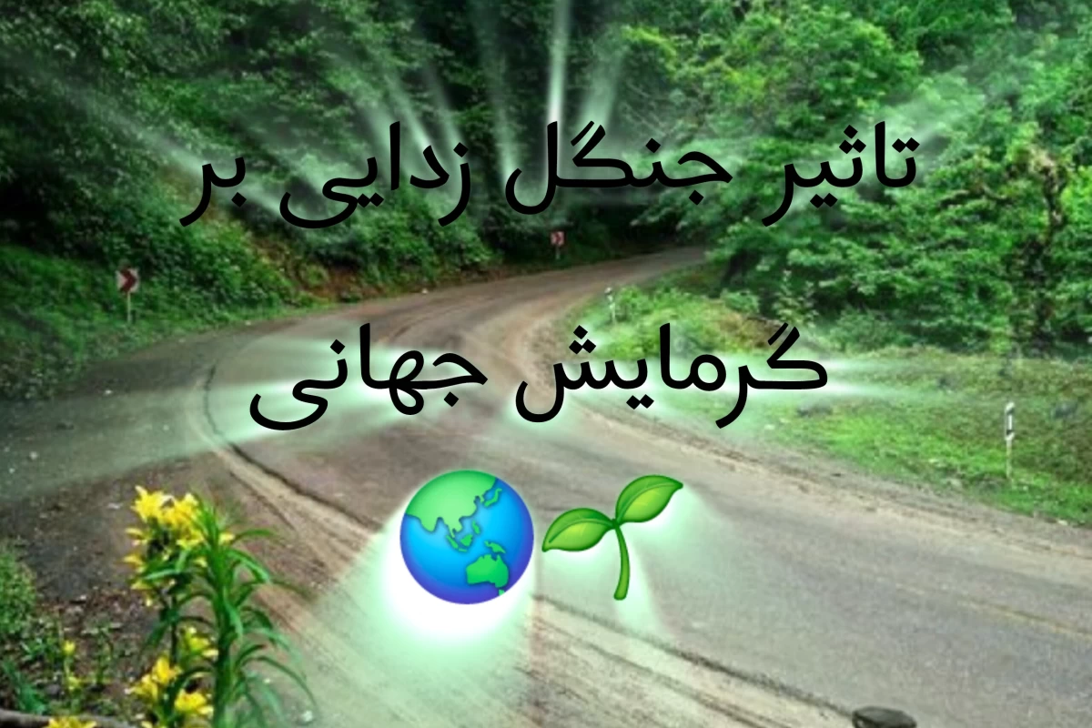 عکس تاثیر جنگل زدایی بر گرمایش جهانی...