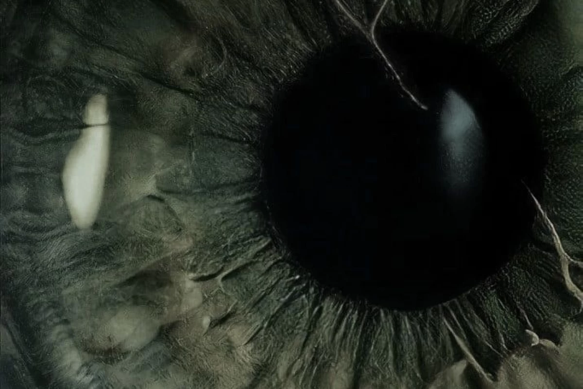 عکس ازش‌بدم میاد!