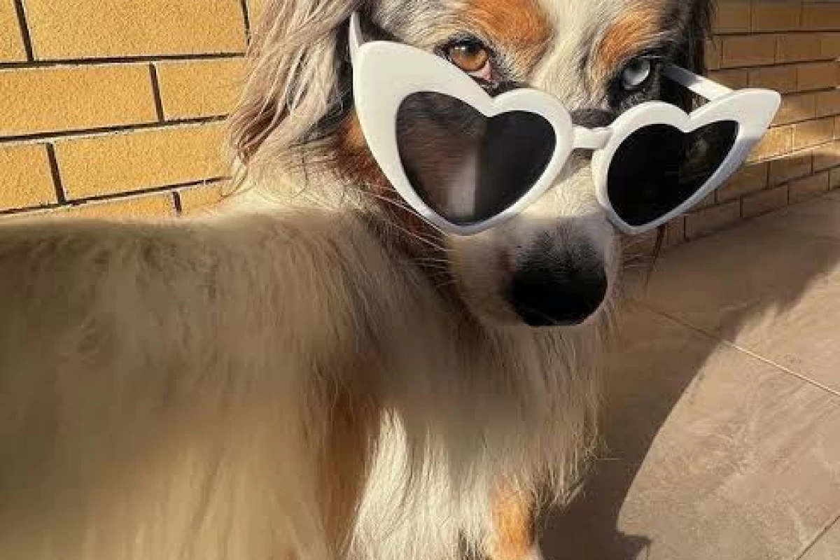 عکس میم پارت ۲