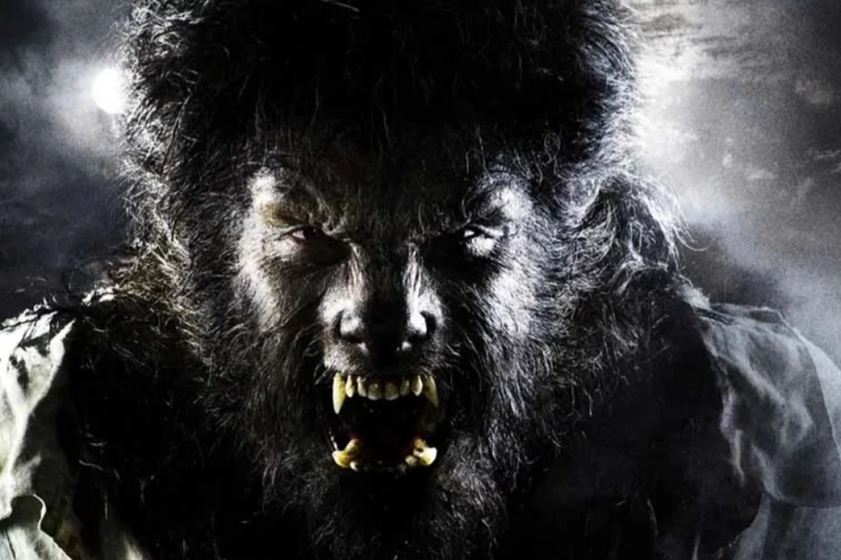 عکس لیکانتروپی بالینی چیست؟