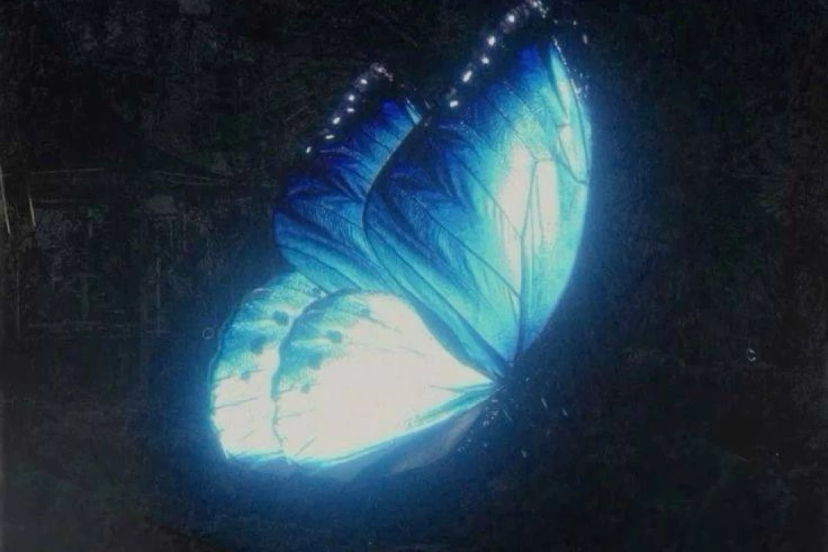 عکس "آدم های ساکت"