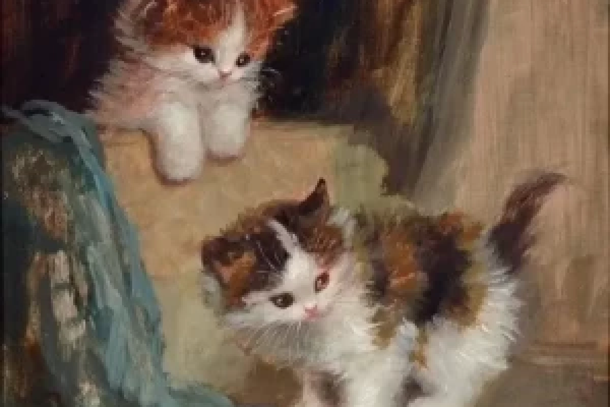 عکس - آخرین حرفی که سلبریتی های معروف قبل از م*رگ زدن.