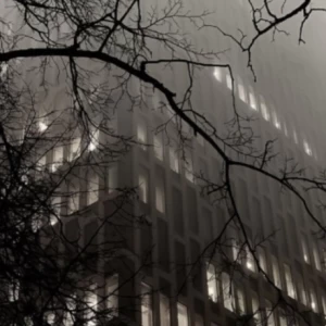 عکس من چه کسی هستم؟