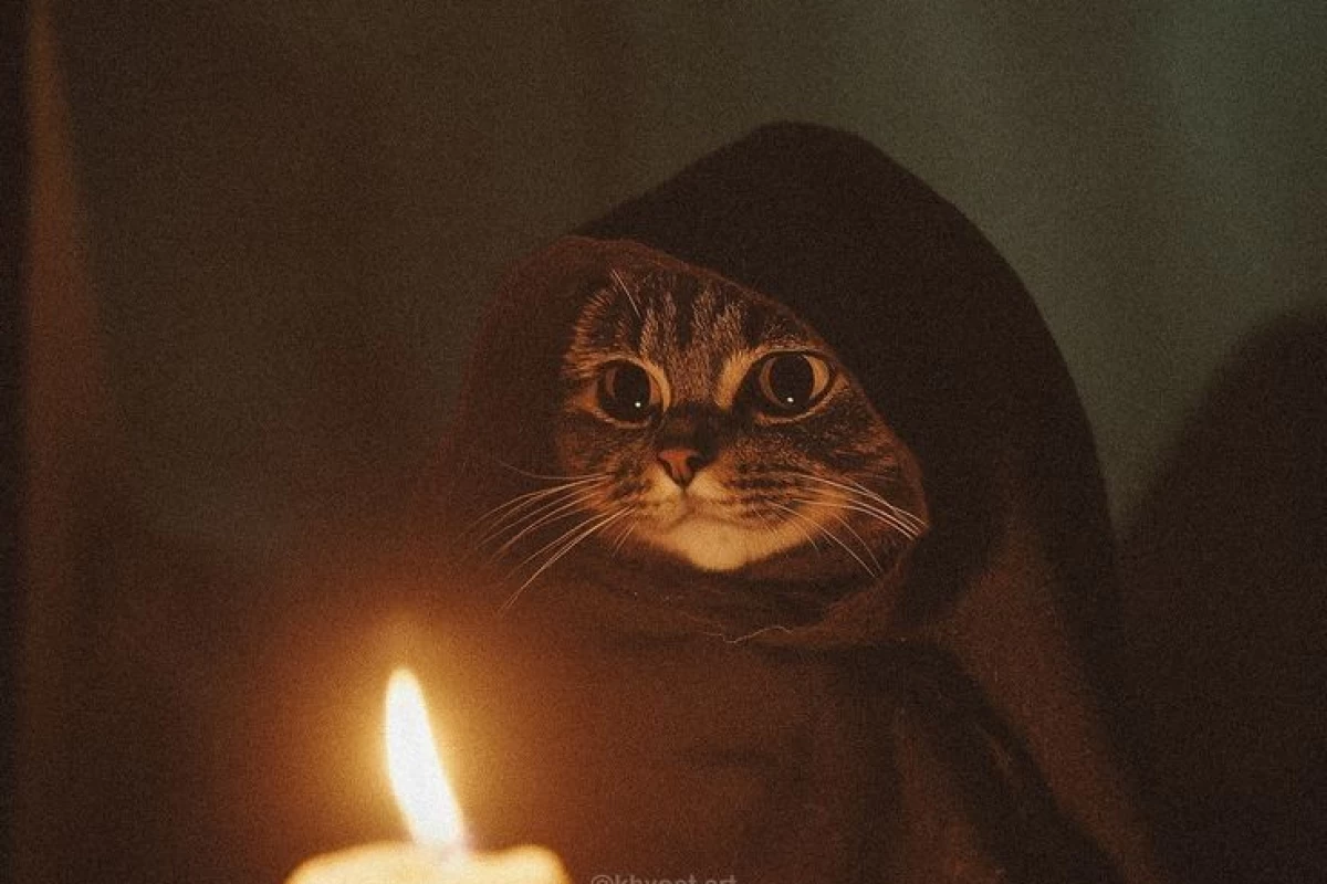 عکس داستان‌های ناتمام تاریخ