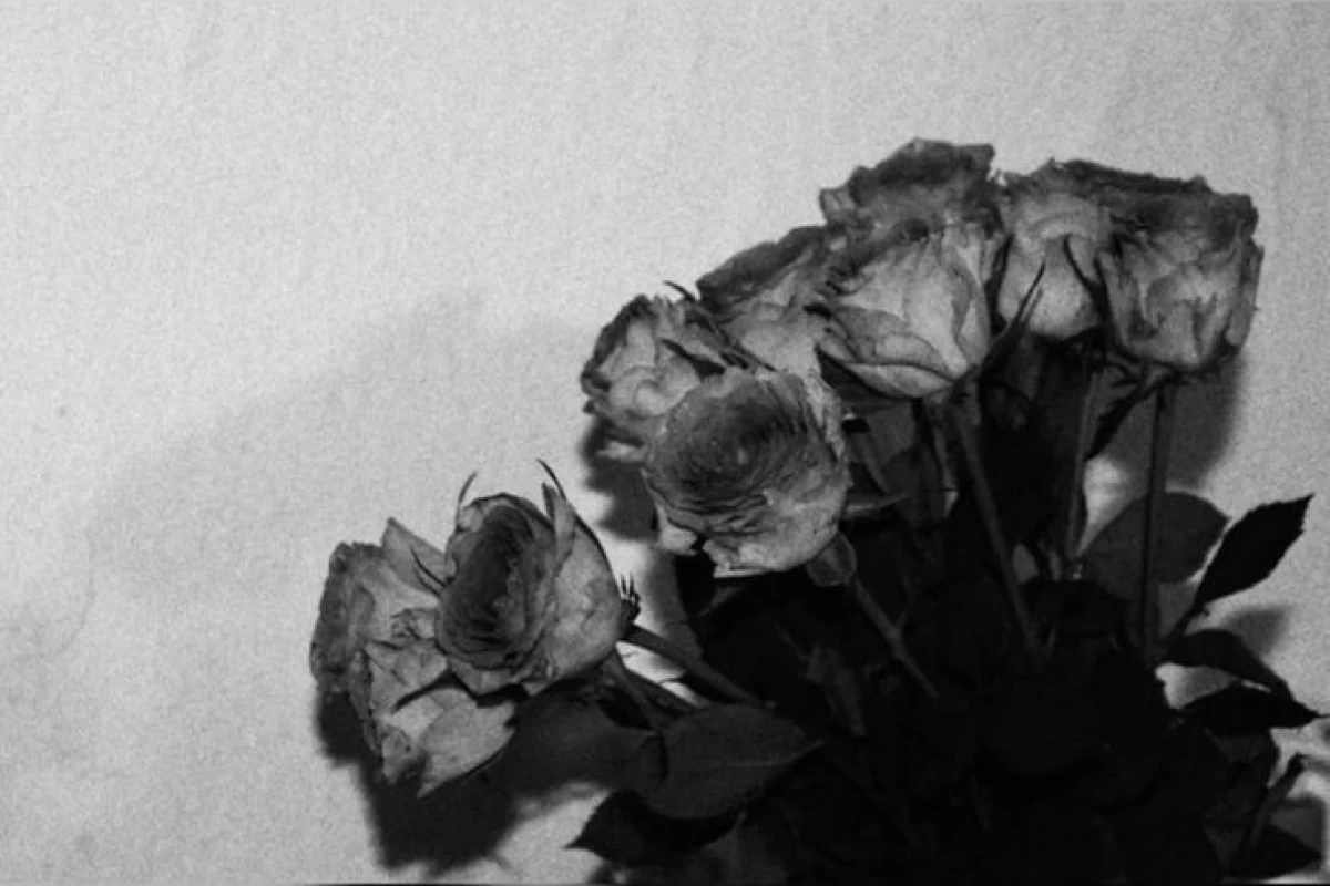 عکس من یک هیولا بودم!