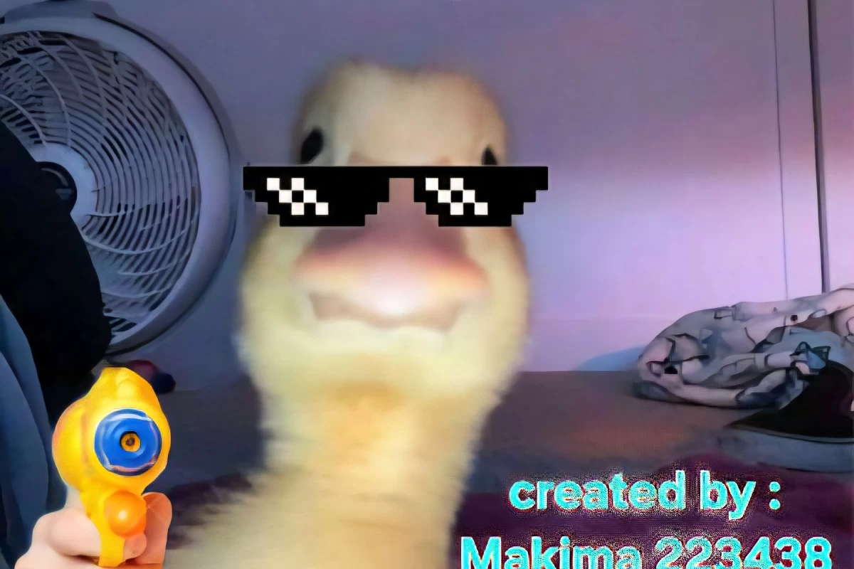 عکس اردک هراسی " آناتیدافوبیا"