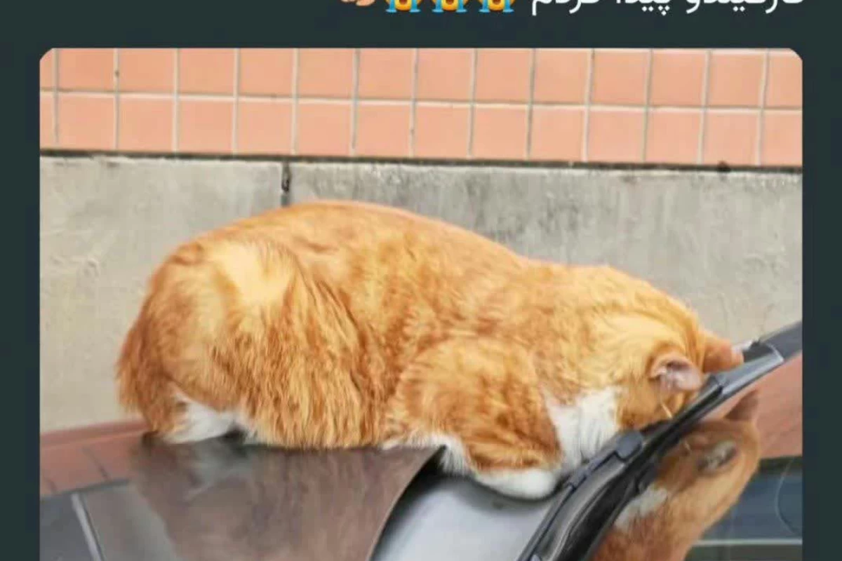 عکس توییت خنده دار و حق پارت 27