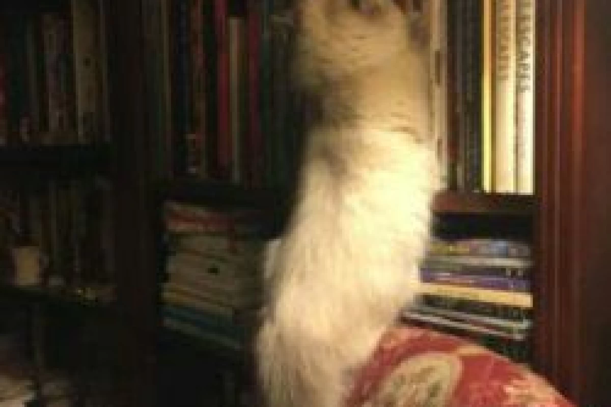 عکس فکت های جالب(◍•ᴗ•◍)