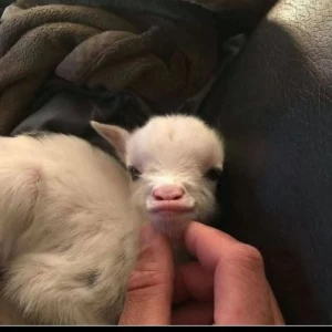 عکس چکیده ای از تاریخヾ(＾-＾)ノ