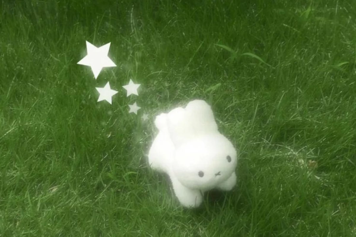 عکس ⚠ : فردای اون روزی که...