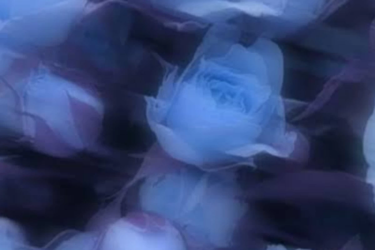 عکس ⭐: ولی تو که چیزیت نشده!