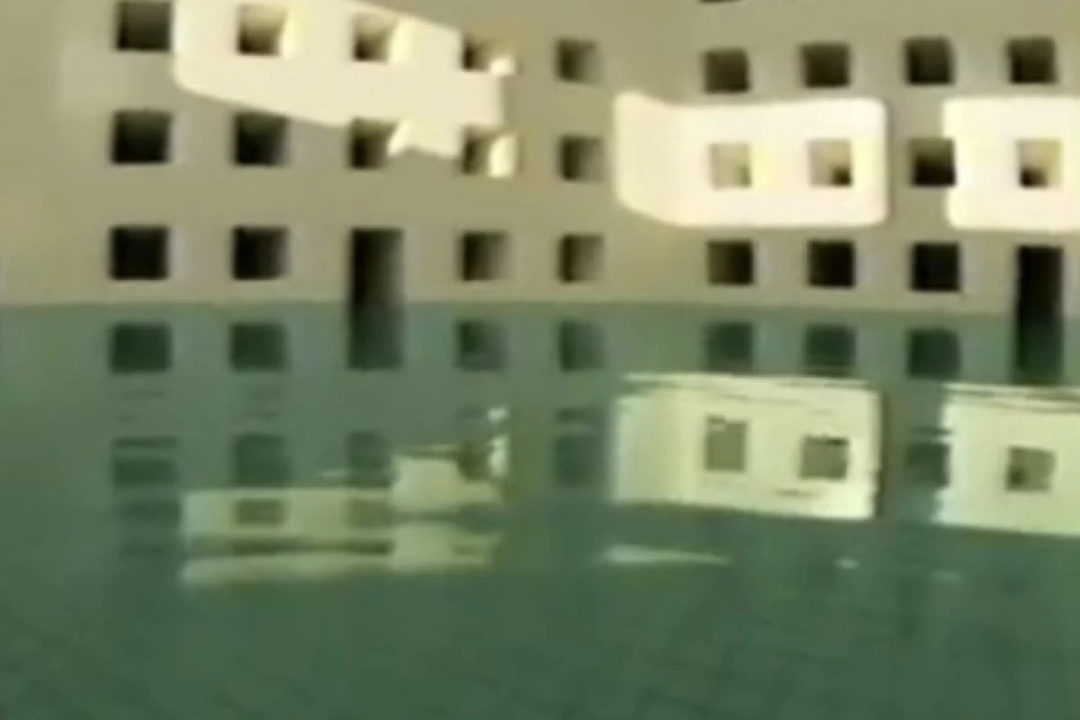 عکس پارازیت مغزی چیست؟