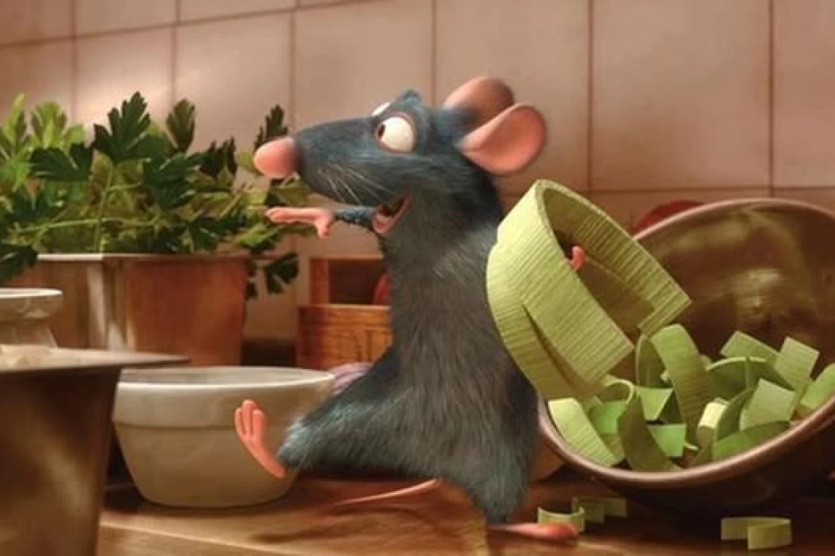 عکس پرده برداشتن از حقایق انیمیشن موش سرآشپز
