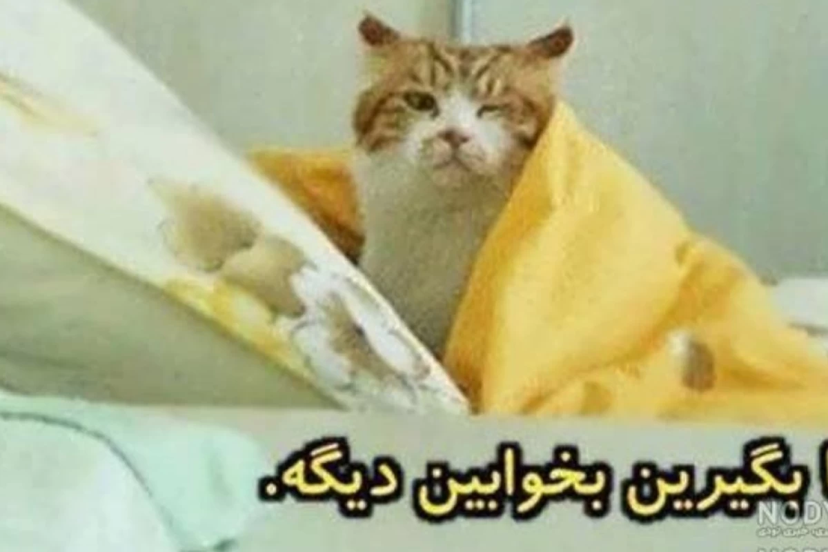 عکس میممم گوربااا