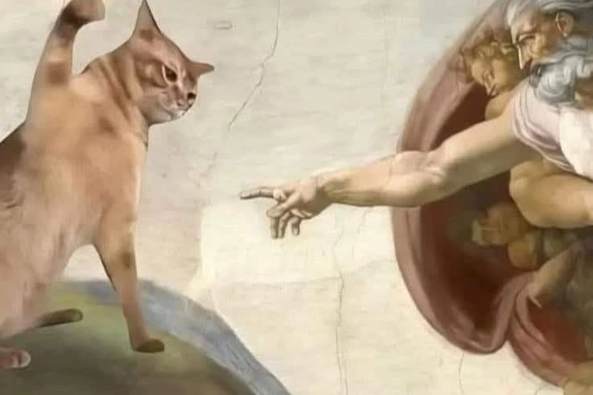 عکس چقدر دووم میاری؟