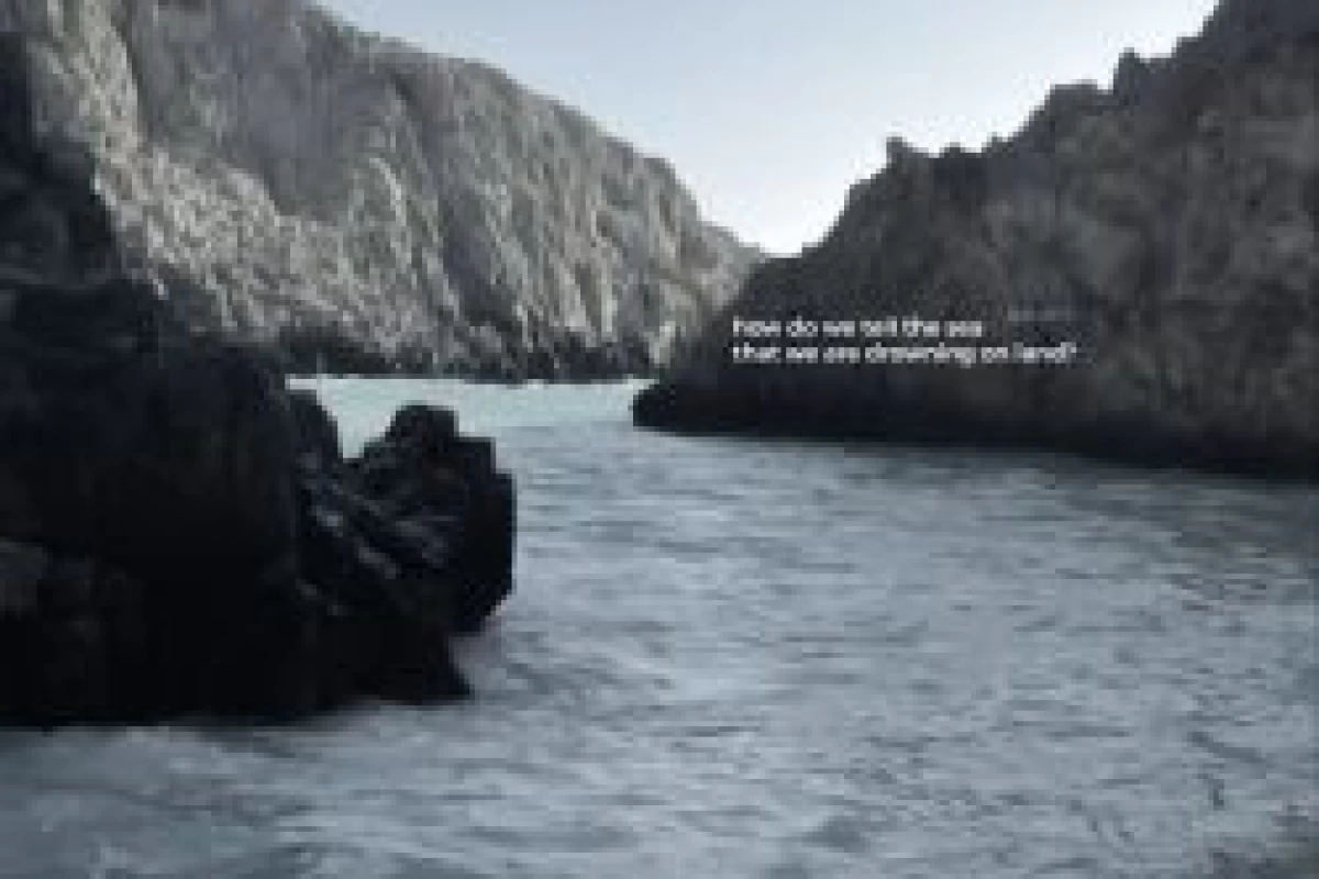 عکس وقتی  X بشی میفهمی ʕ •ₒ• ʔ