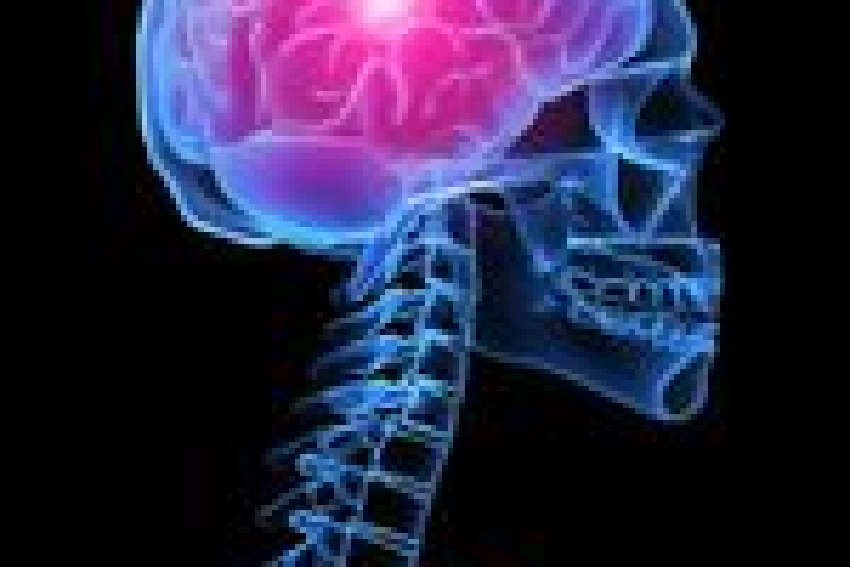 عکس حقایق جالب در مورد بدن انسان