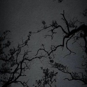 عکس چیزهایی که داخل بیو گرافیم هست