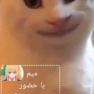 عکس یک بشقاب میم