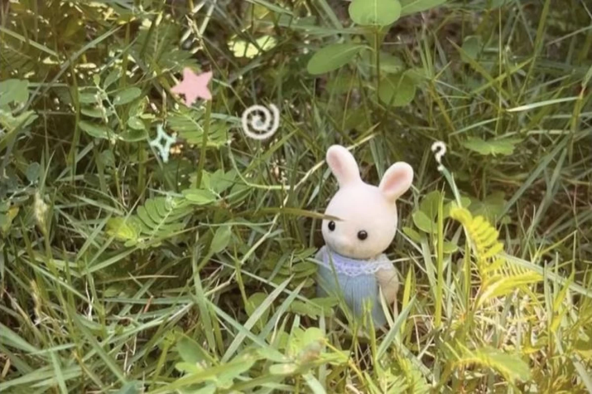 عکس ⚠ : گشتم نبود نگرد نیست.