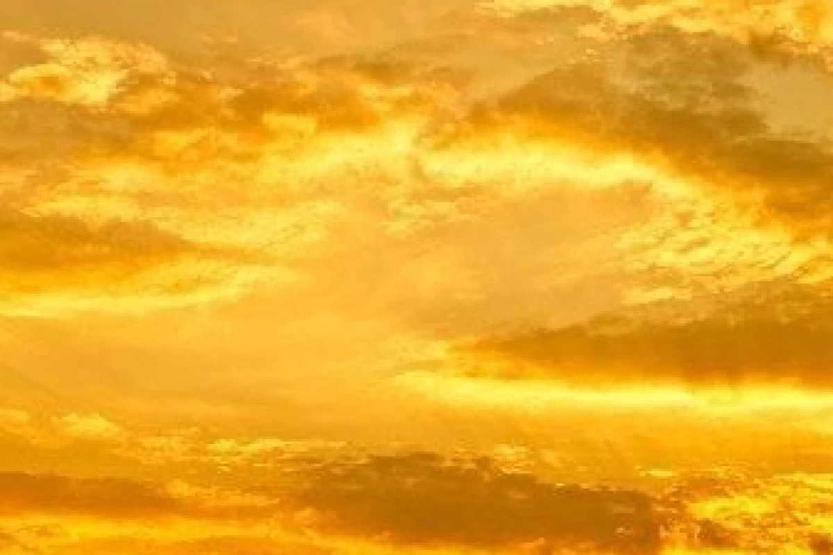 عکس این حقش نبود!