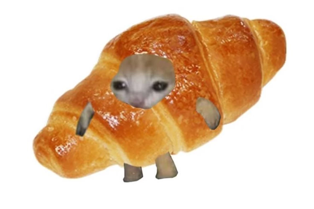 عکس میم🍊part⁹