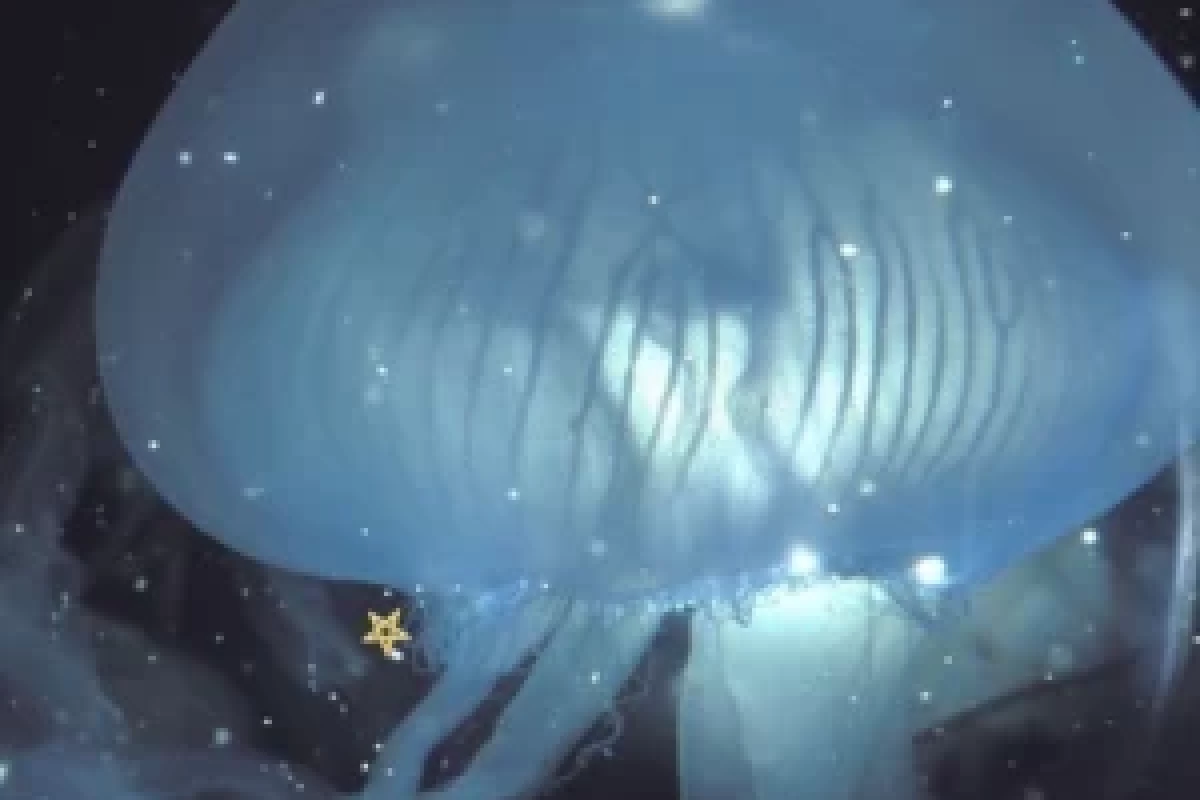 عکس ✯مهمونی شانسی! ✯