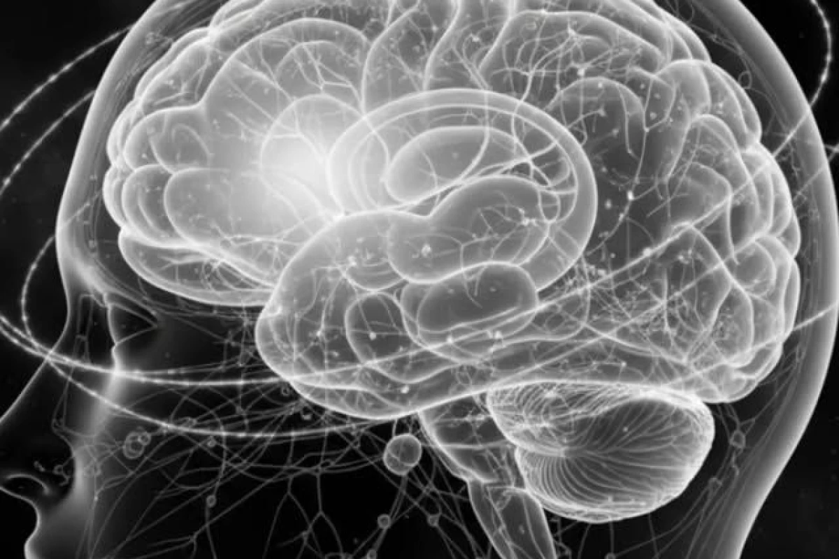 عکس چرا ذهن انسان اشتباهات را بیشتر از موفقیت‌ها به یاد می‌آورد؟