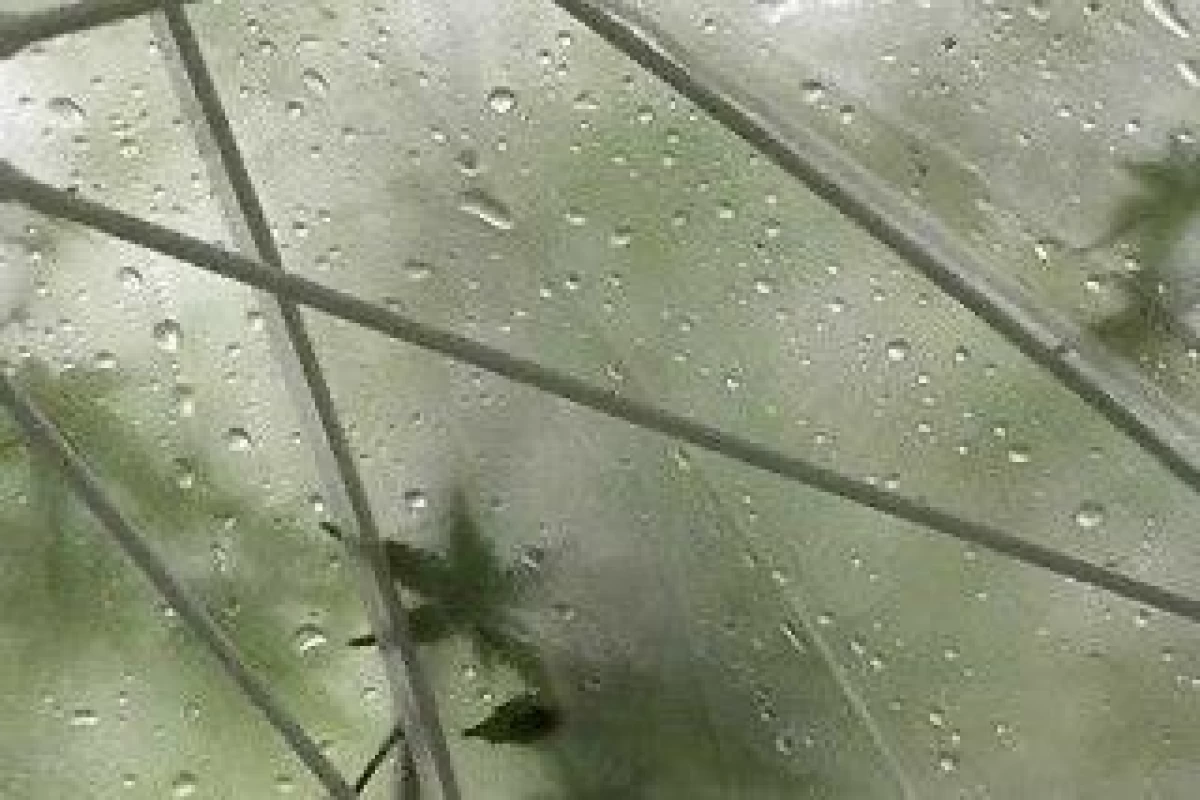 عکس چرا بیش از حد به نظر دیگران اهمیت می‌دهیم؟