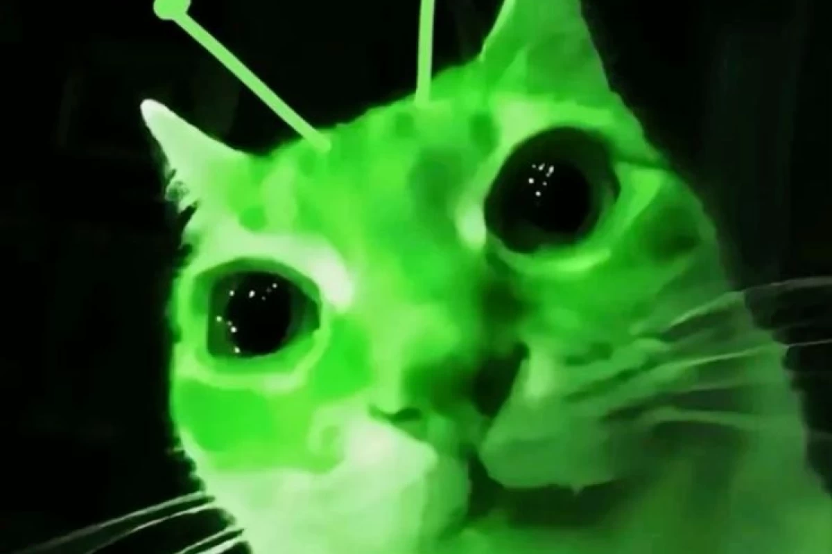 عکس چقدر خودتو با بقیه مقایسه میکنی؟