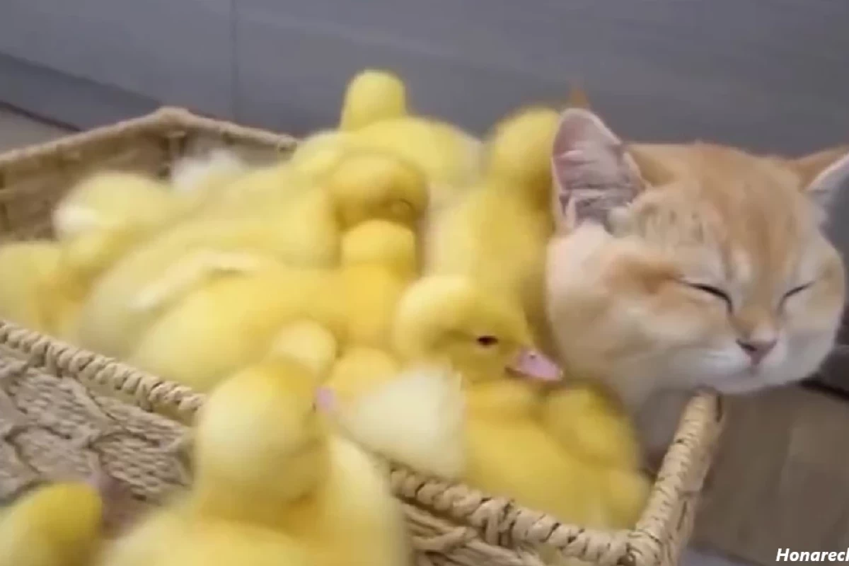 عکس اون کی بود؟My Bio ٭