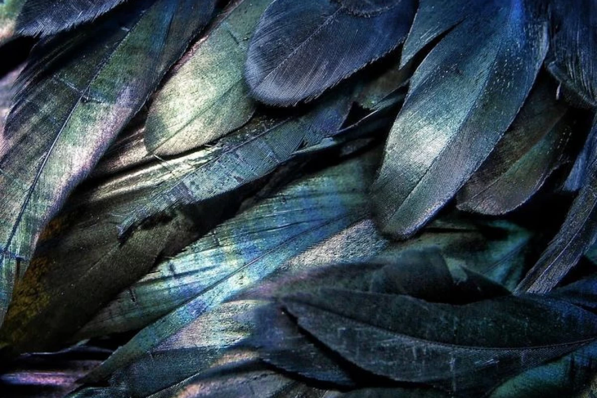 عکس فرسودگی روانی؛