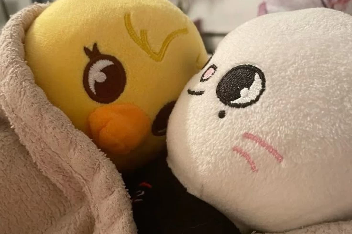 عکس استری کیدز میم