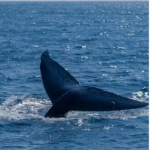 عکس بیو گرافی من❄️🫧