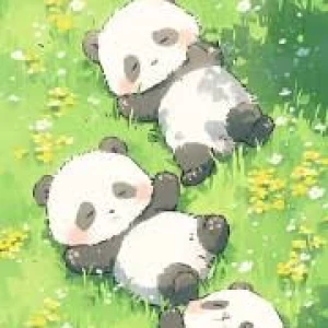 عکس بیوگرافی من