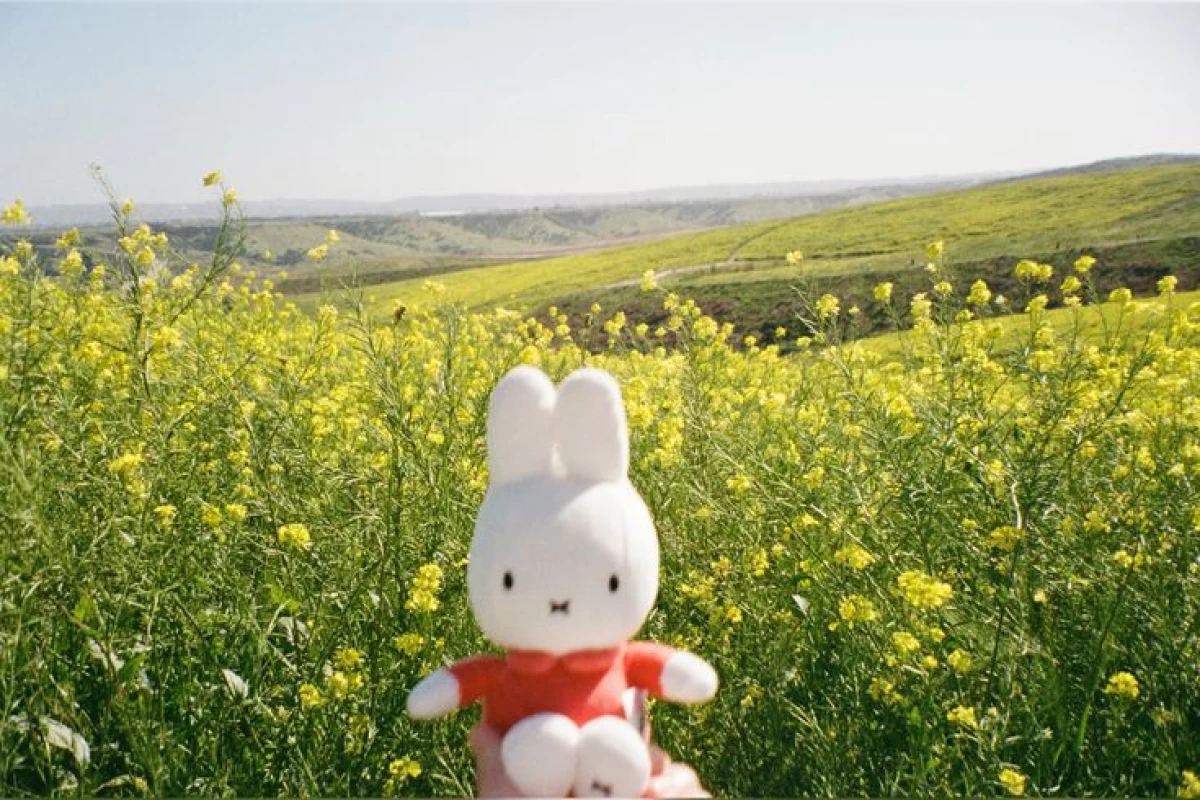 عکس ⚠‌ :‌ نه من منظوری ندارم...