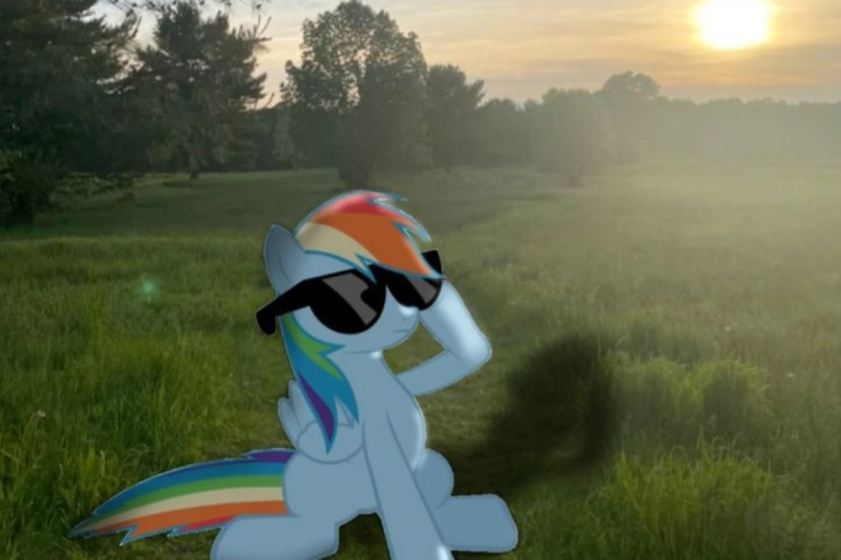 عکس ⚠️ ‌ : ‌اون آخرین بار بود دیگه تکرار نشد!