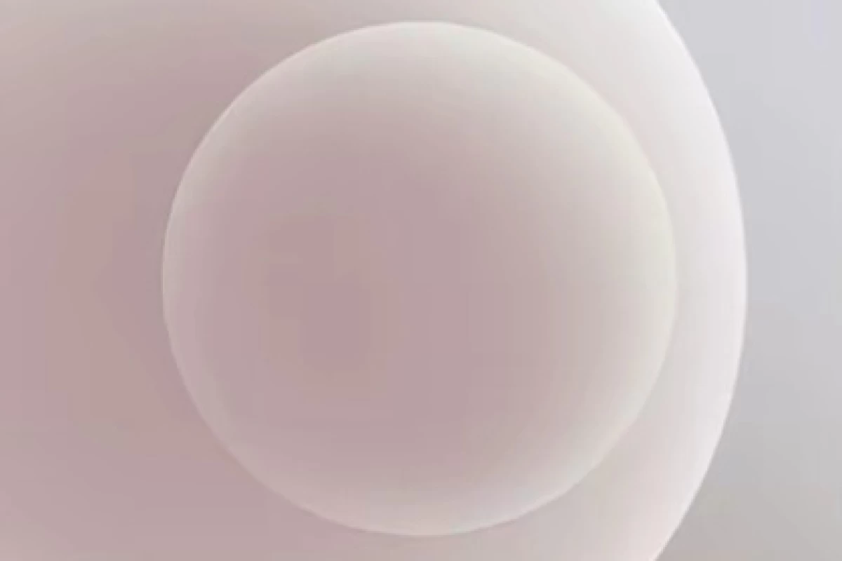 عکس شغل هایی که بدون مدرک، امکان مهاجرت دارن✨