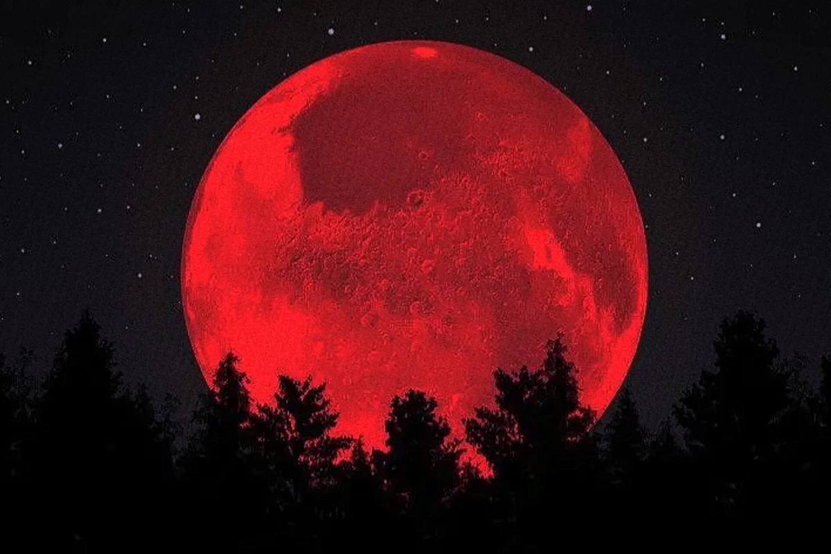 عکس نسبت لیوای و میکاسا چیه؟(AOT)