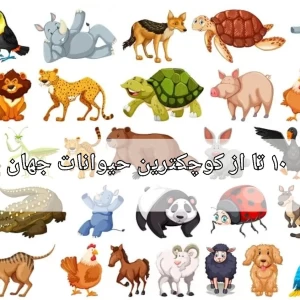 عکس ۱۰ تا از کوچکترین حیوانات جهان