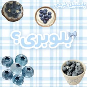 عکس همه چیز درباره بلوبری؟