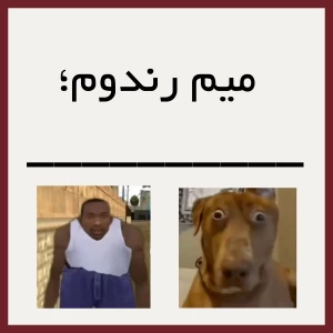 عکس میم رندوم؛