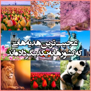 عجیب ترین هدیه هایی که کشورها به یکدیگر داده‌اند