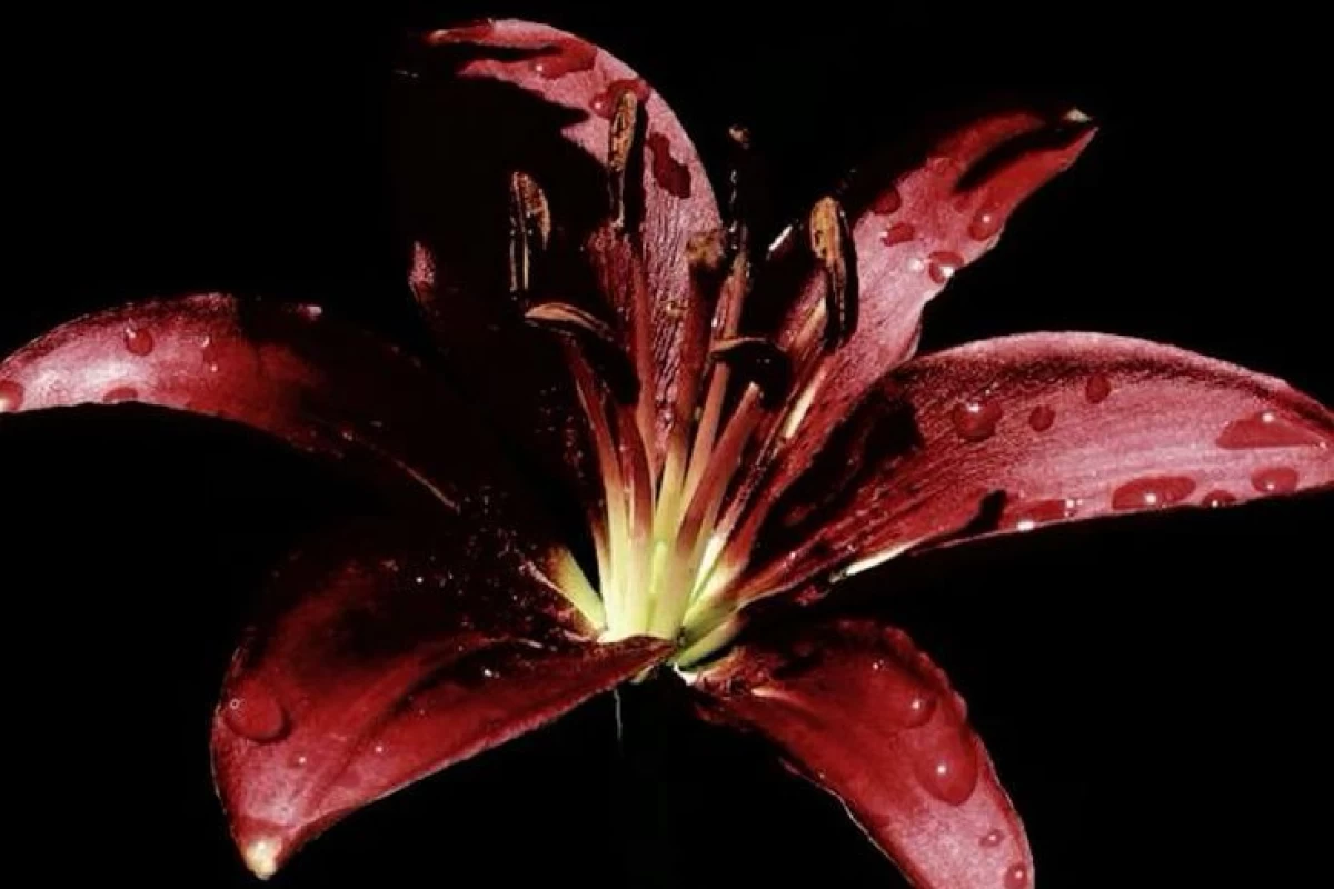 عکس اتاق پینترستی