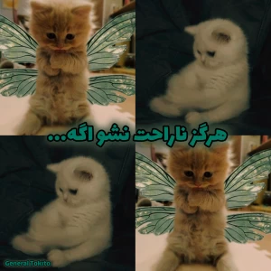 عکس هرگز ناراحت نشو اگه...