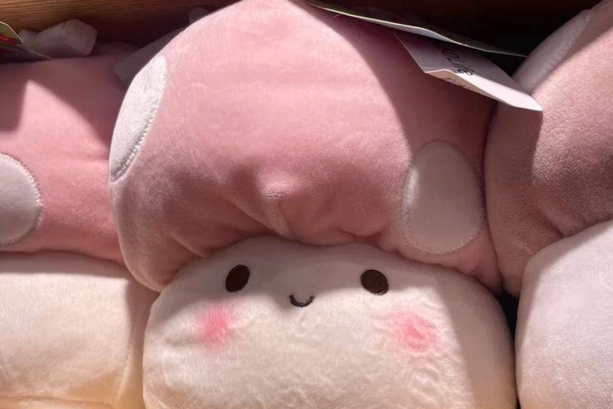 عکس شماره مورد نظر.......( تستچی ور)