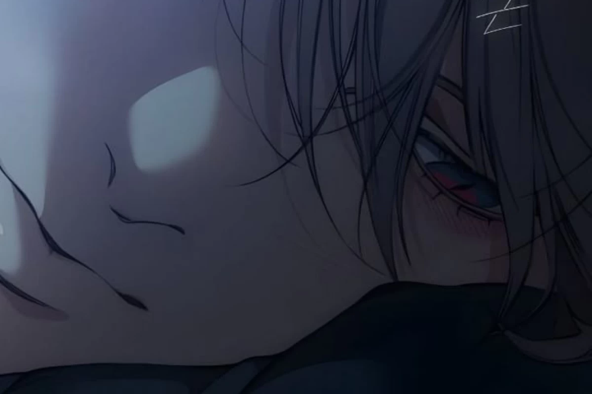 عکس ای ستاره ها!