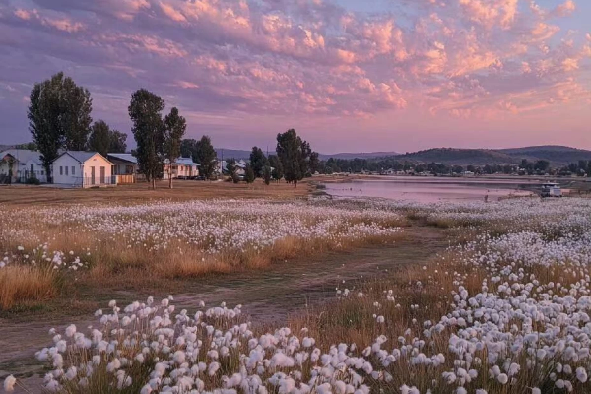 عکس تکسـTextــت P¹