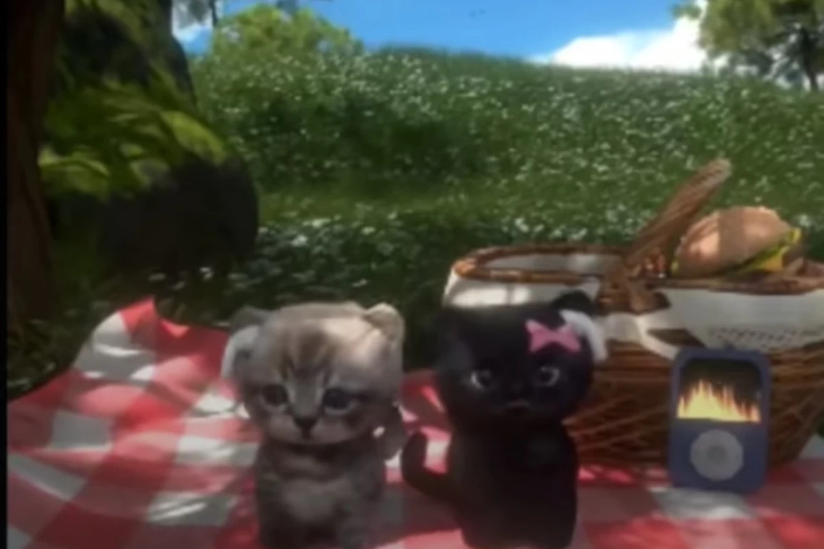 عکس انواع افراد در سفر!