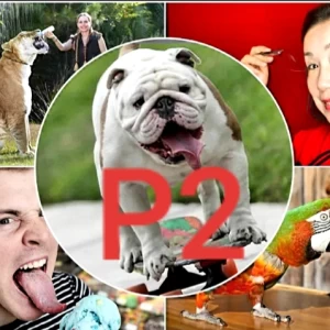 عکس عجیب ترین رکورد های گینس P2